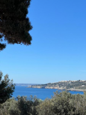 ETTA’S BOUGAINVILLE APARTMENT Santa Cesarea Terme